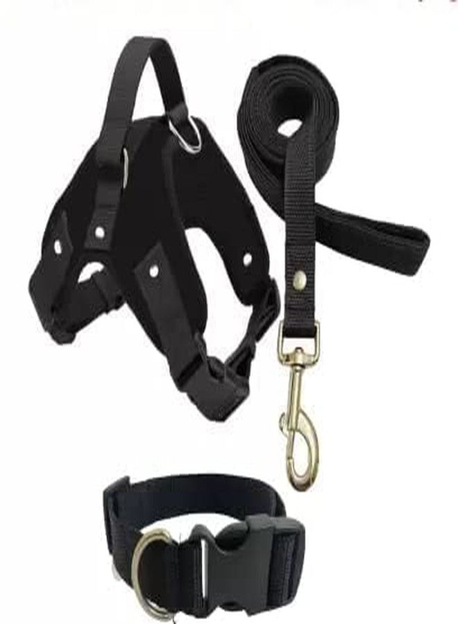 KittuPet حزام كيتو بيت مع حامل قوي لرفع حزام مريح للكلاب + مقود + طوق (متوسط، أسود) - Image 1